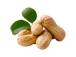 Obraz premium Raw peanuts with leaves isolated on transparent or white background, png