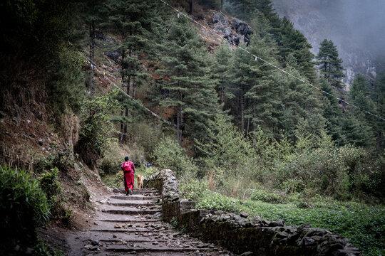 Monje budista caminando por el valle khumbu, en los himalayas, acompa&ntilde;ado de un perro. En Nepal.