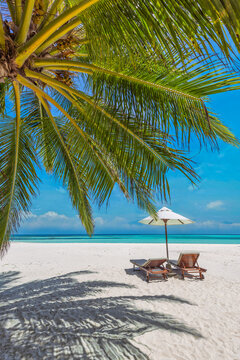 Dream idyllic tropical beach palm tree umbrella sunbeds turquoise ocean sky sand paradise. Perfect summer vacation travel landscape resort. Luxury getaway relax leisure love couple holiday scenic