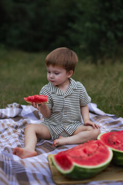 Cute little boy sitting on picnic blanket and eating juicy watermelon slice