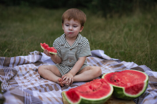 Cute little boy sitting on picnic blanket and eating juicy watermelon slice