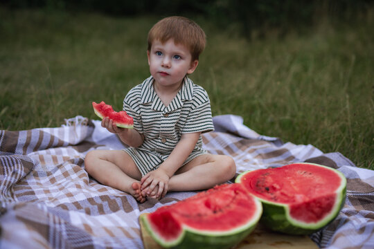 Cute little boy sitting on picnic blanket and eating juicy watermelon slice