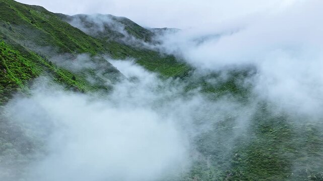 Aerial view of a beautiful misty mountain valley with low clouds and thick fog rolling over lush green slopes in Sichuan, China