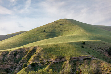 Obraz premium Soft green hills roll under a bright sky