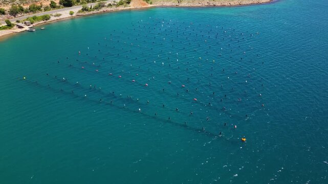 Aerial drone view of a coastal aquaculture farm with rows of floating buoys across clear blue seawater near a rocky shoreline, showing organized marine farming and seafood production in the Adriatic.
