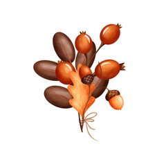 Illustration bouquet of oak leaves and branches with acorns, berries. Autumn composition hand drawnon isolated background for packaging design label postcards holidays clothes dishes © Evgeniia