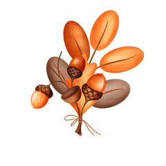 Illustration bouquet of oak leaves and branches with acorns. Autumn composition hand drawnon isolated background for packaging design label postcards holidays clothes dishes © Evgeniia