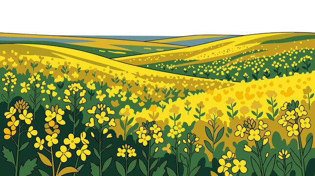 Sunlit field of blooming wild mustard across rolling hills scenic spring landscape illustration
