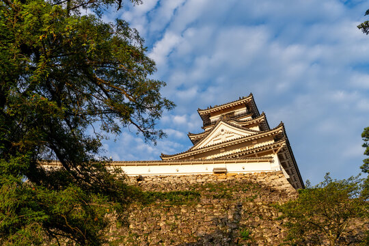 Original castle tower of Kochi Castle illuminated by morning light in Kochi Prefecture, Japan.