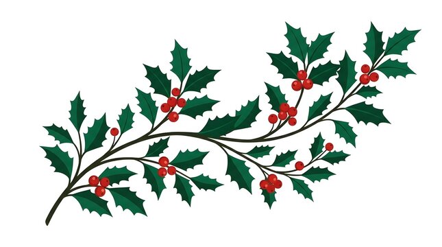 Decorative holly branch with red berries on white background