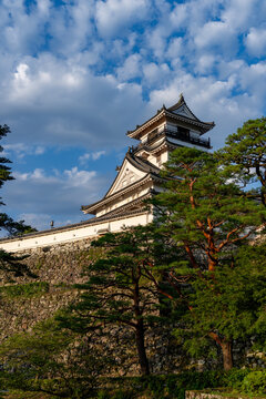 Original castle tower of Kochi Castle illuminated by morning light in Kochi Prefecture, Japan.