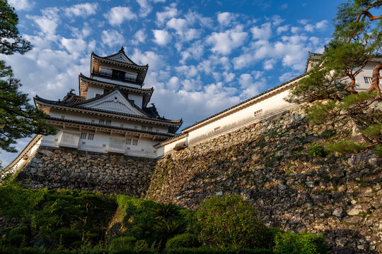 Original castle tower of Kochi Castle illuminated by morning light in Kochi Prefecture, Japan.