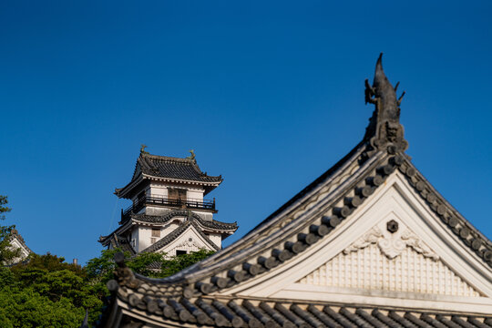Original castle tower of Kochi Castle illuminated by morning light in Kochi Prefecture, Japan.