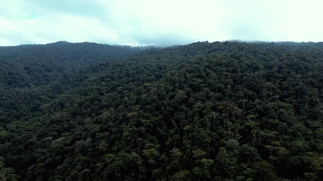 Wide Aerial View of Tropical Rainforest Hills in Ecuador, Dense Green Canopy, Cloudy Sky and Remote Andean Amazon Wilderness Landscape
