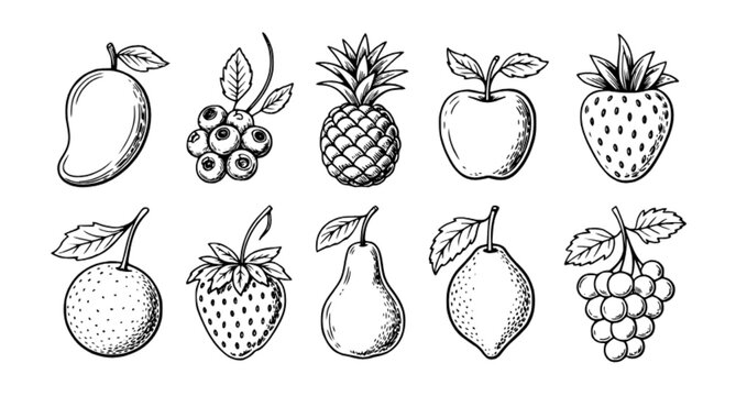 Hand Drawn Fruits and Berries Sketch Icon Set
