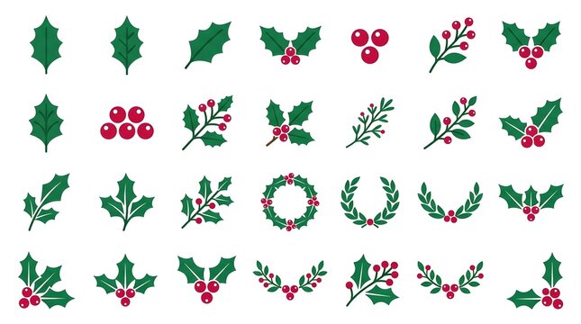 Collection of holly berries and green leaves vector icons for Christmas design
