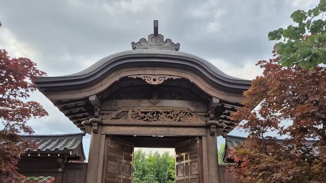 Traditional japanese karamon gate with autumn maple foliage