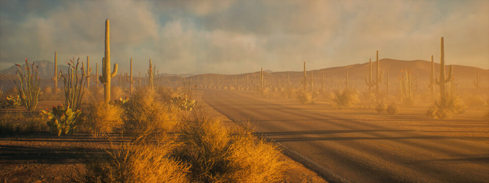 Empty road in desolate desert landscape with succulent plants during sunset under a sky wih clouds. 3D render.