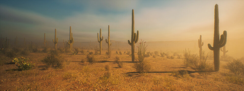 Cacti in a desolate misty desert landscape with bushes during golden hour under a sky wih clouds. 3D render.