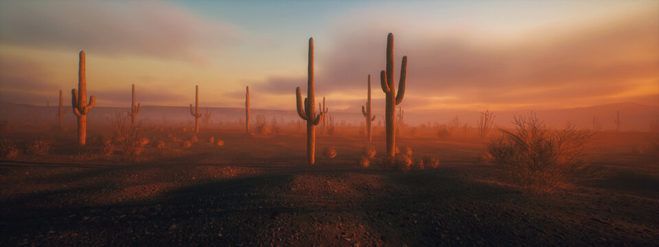 Cacti in a desolate misty desert landscape with bushes during sunset under a sky wih clouds. 3D render.