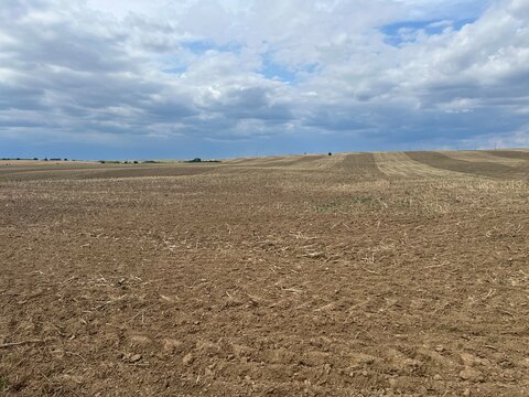 plowed field in the morning