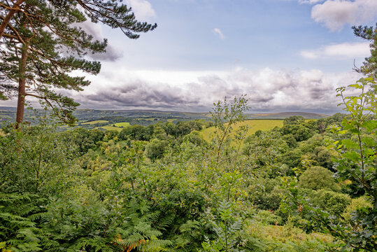 Teign Gorge Valley View from Castle Drogo Ramparts Devon