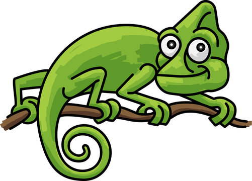 Chameleon Cartoon Lizard Cameleon Animal Character