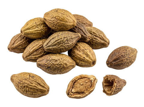 Natural Dried Haritaki Harad Fruits PNG with Transparent Background