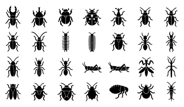 Beetle and crawling insect solid glyph icon collection featuring termites ants cockroaches grasshoppers and distinctive bug silhouettes