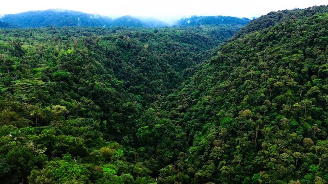 Aerial View of Lush Tropical Rainforest Hills in Ecuador with Dense Green Canopy, Misty Ridge and Remote Andean Amazon Nature Landscape