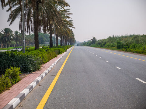 Dubai, UAE &ndash; July 2, 2016: Heat Haze (Mirage) on a Desert Road Lined with Palm Trees