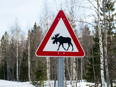 Triangular red wildlife crossing warning sign with black moose silhouette on snowy forest roadside