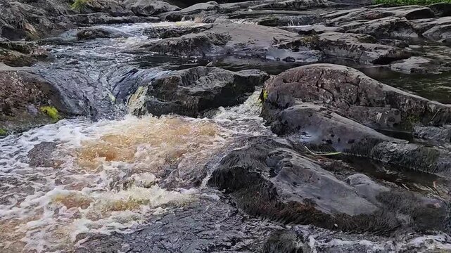 Fast stream rushes over dark wet rocks forming small waterfalls and white foam in wild nature, mountain river, rocky rapids, natural landscape, outdoors adventure.