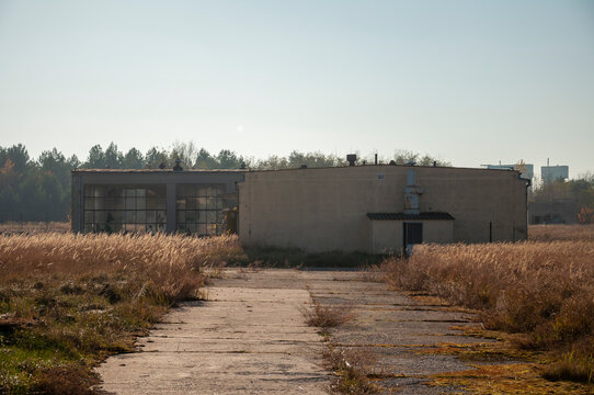 Abandoned old industrial glass greenhouse with dry dead plants and withered crops