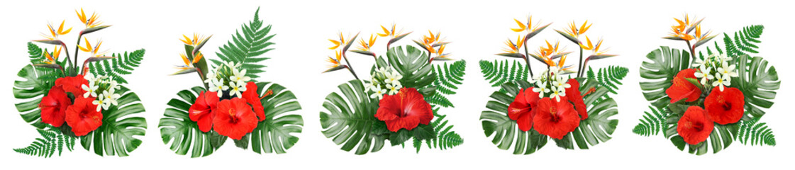 Hibiscus, strelitzia and plumeria flowers with green tropical leaves in floral compositions on white background, set © New Africa