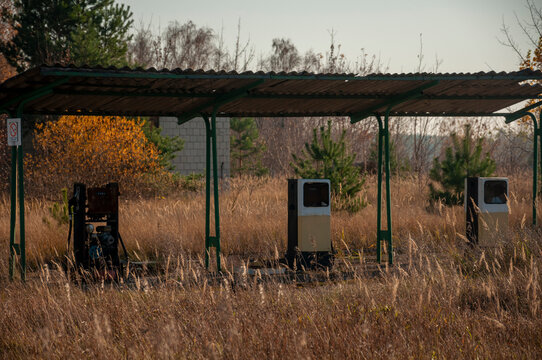 Abandoned old industrial glass greenhouse with dry dead plants and withered crops
