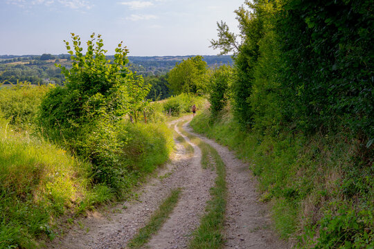 Summer landscape, The terrain of hilly countryside, Natural gravel path with green grass and trees on slope hillside, Gulpen-Wittem and region is a villages in Dutch province of Limburg, Netherlands.