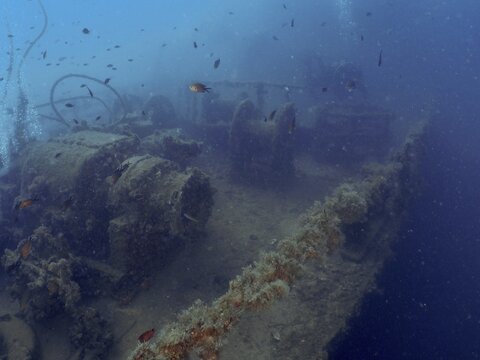 A shipwreck in the Mediterranean with lush vegetation and floating fish, dive site Wreck of the Vis, Pula, Croatia, Mediterranean