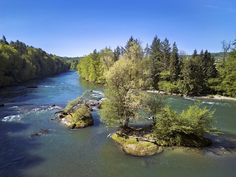 Small island in the Reuss river, Niederwil, Gnadental, Bremgarten district, Aargau canton, Switzerland