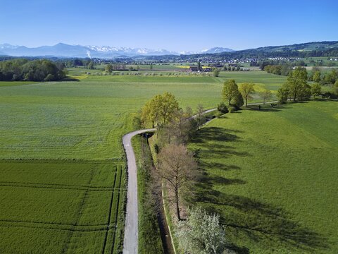 Meadows and fields, in the background the snow-covered Alps and the Rigi and Pilatus, Merenschwand, Reusstal, Freiamt, Canton of Aargau, Switzerland
