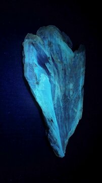 Macro of large 13cm gypsum crystal showing banded 365nm UV fluorescence & 2s greenish phosphorescence afterglow in dark. Ideal for physics, mineralogy & earth science education.