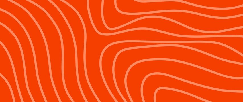 Salmon fish texture background. Raw beef steak texture background. Salmon stripes texture backdrop. Red abstract salmon meat fillet. Abstract wavy stripe background