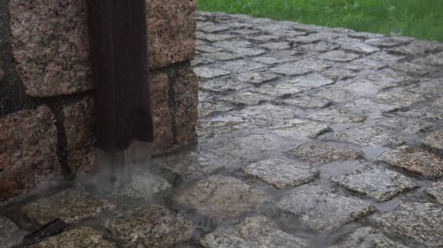 Close up of rainwater flowing from a downpipe during a downpour. Water gushes onto a wet cobblestone sidewalk next to a green lawn