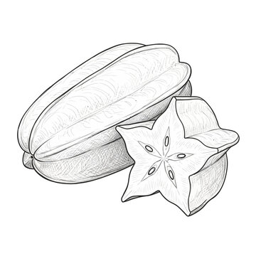 Hand-drawn realistic starfruit sketch featuring a whole carambola fruit and a star-shaped slice isolated on a white background
