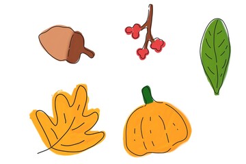 Set of autumn design including maple leaves, acorn seed, pumpkin  © Helios