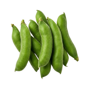 Fresh green fava beans in pods isolated on transparent background