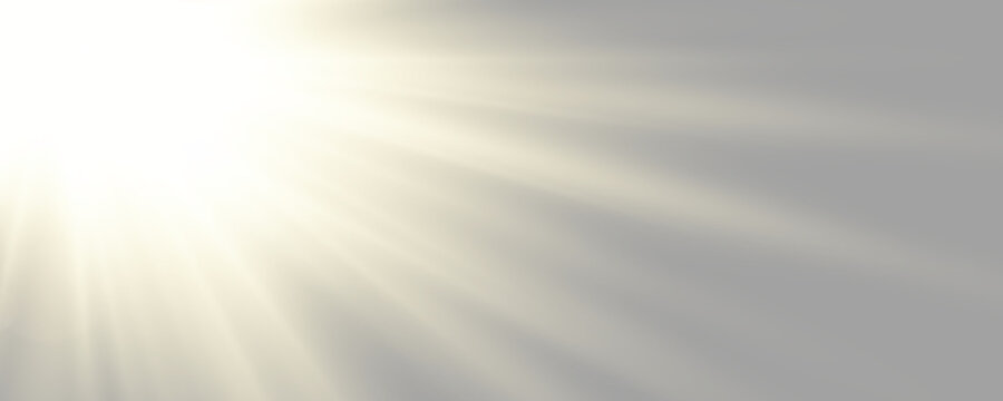 Golden light rays spreading from a brilliant center. Beautiful PNG sunlight overlay for elegant compositions. Transparent background supports effortless editing.

