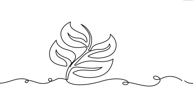 Continuous line drawing 4K animation video showing a multi leaf branch drawing seamlessly on a line path