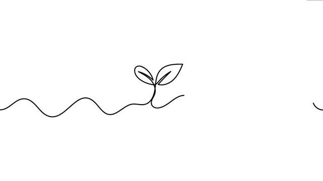 Continuous line drawing 4K animation video presenting a two leaf sprout growing seamlessly on a centered line