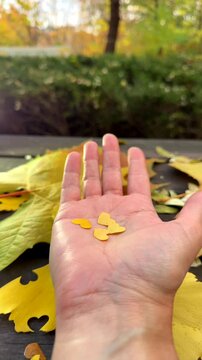 Heart shaped confetti from yellow Ginkgo leaves scatters in autumn wind above open hand. Tiny leaf hearts flying away create romantic fall mood, love symbol and seasonal nature concept.